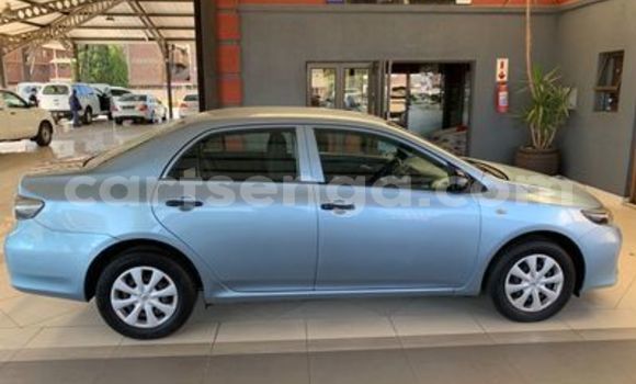 Buy Used Toyota Corolla Blue Car in Ezulwini in Hhohho Buy Used Toyota Corolla Blue Car in Ezulwini in Hhohho