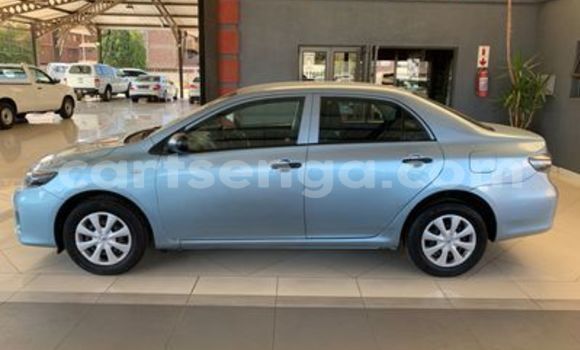 Buy Used Toyota Corolla Blue Car in Ezulwini in Hhohho Buy Used Toyota Corolla Blue Car in Ezulwini in Hhohho