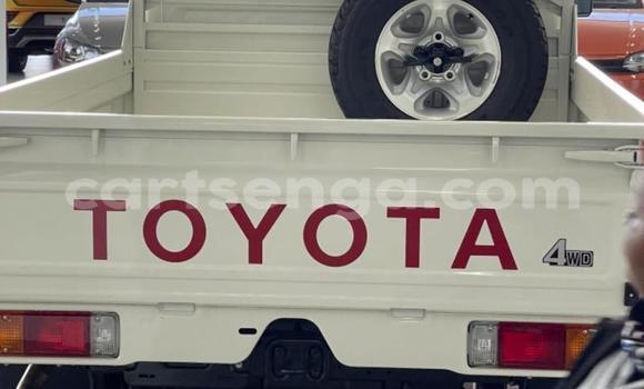 Acheter Occasion Voiture Toyota Land Cruiser Gris à Hlatikulu, Shiselweni District