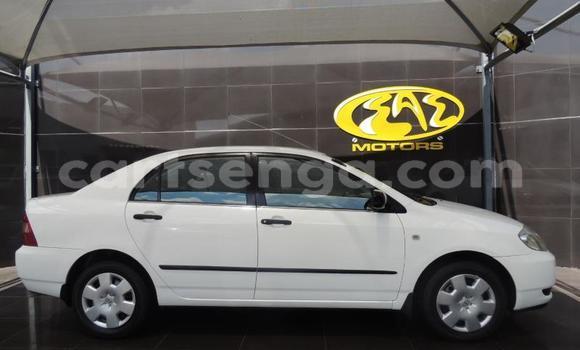 Buy Used Toyota Corolla White Car in Ezulwini in Hhohho Buy Used Toyota Corolla White Car in Ezulwini in Hhohho