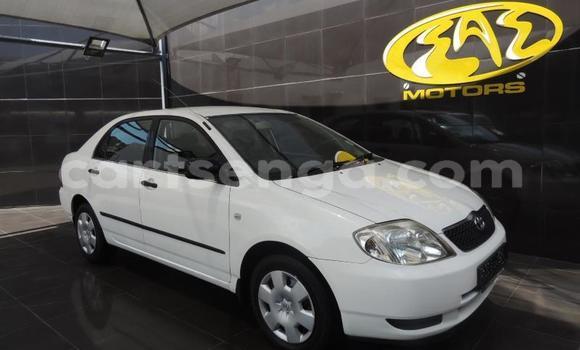 Buy Used Toyota Corolla White Car in Ezulwini in Hhohho Buy Used Toyota Corolla White Car in Ezulwini in Hhohho