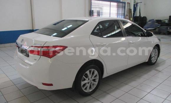 Nunua Ilio tumika Toyota Corolla White Gari ndani ya Bhunya nchini Manzini Nunua Ilio tumika Toyota Corolla White Gari ndani ya Bhunya nchini Manzini