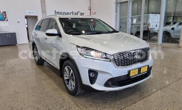 Nunua Ilio tumika Kia Sorento Silver Gari ndani ya Hlatikulu nchini Wilaya ya Shiselweni Nunua Ilio tumika Kia Sorento Silver Gari ndani ya Hlatikulu nchini Wilaya ya Shiselweni