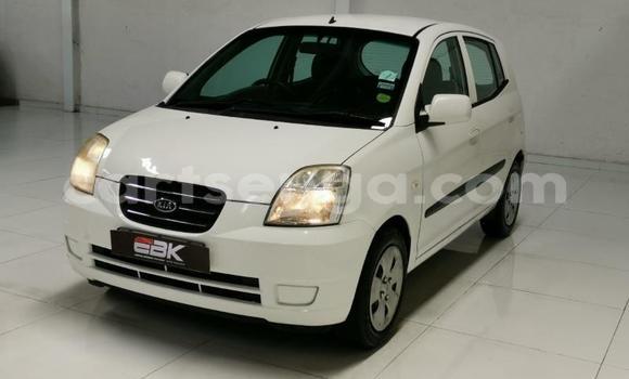 Buy Used Kia Picanto White Car in Ezulwini in Hhohho