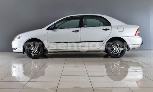 Acheter Occasion Voiture Toyota Corolla Gris à Ezulwini, Hhohho