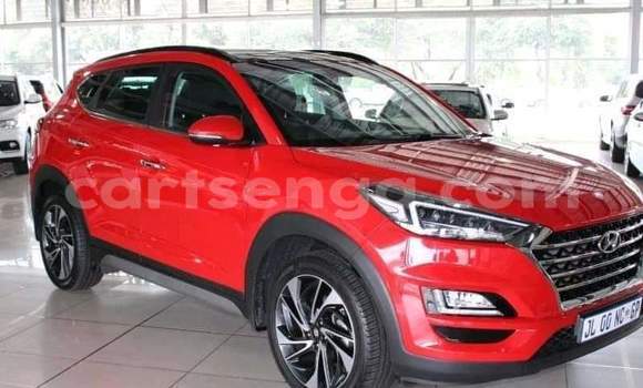 Buy Used Hyundai Tucson Red Car in Ezulwini in Hhohho
