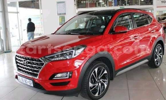 Nunua Ilio tumika Hyundai Tucson Red Gari ndani ya Ezulwini nchini Hhohho Nunua Ilio tumika Hyundai Tucson Red Gari ndani ya Ezulwini nchini Hhohho