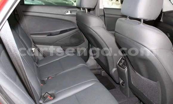 Nunua Ilio tumika Hyundai Tucson Red Gari ndani ya Ezulwini nchini Hhohho Nunua Ilio tumika Hyundai Tucson Red Gari ndani ya Ezulwini nchini Hhohho