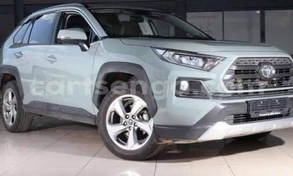 Buy Used Toyota RAV4 Other Car in Ezulwini in Hhohho