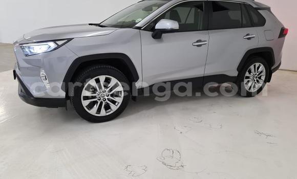 Acheter Occasion Voiture Toyota RAV4 Beige à Ezulwini, Hhohho