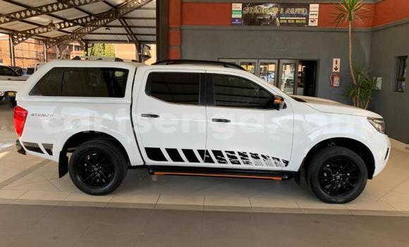 Buy Used Nissan Navara White Car in Mbabane in Manzini Buy Used Nissan Navara White Car in Mbabane in Manzini