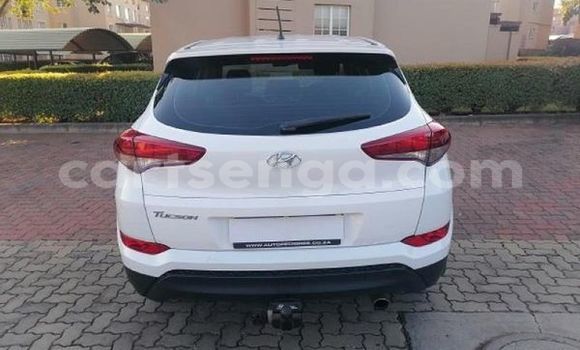 Nunua Ilio tumika Hyundai Tucson White Gari ndani ya Hluti nchini Wilaya ya Shiselweni Nunua Ilio tumika Hyundai Tucson White Gari ndani ya Hluti nchini Wilaya ya Shiselweni