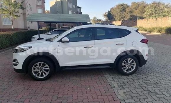 Nunua Ilio tumika Hyundai Tucson White Gari ndani ya Hluti nchini Wilaya ya Shiselweni Nunua Ilio tumika Hyundai Tucson White Gari ndani ya Hluti nchini Wilaya ya Shiselweni