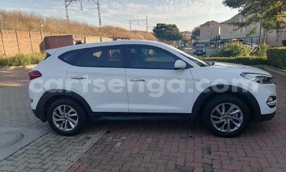 Nunua Ilio tumika Hyundai Tucson White Gari ndani ya Hluti nchini Wilaya ya Shiselweni Nunua Ilio tumika Hyundai Tucson White Gari ndani ya Hluti nchini Wilaya ya Shiselweni