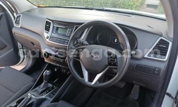 Nunua Ilio tumika Hyundai Tucson White Gari ndani ya Hluti nchini Wilaya ya Shiselweni Nunua Ilio tumika Hyundai Tucson White Gari ndani ya Hluti nchini Wilaya ya Shiselweni
