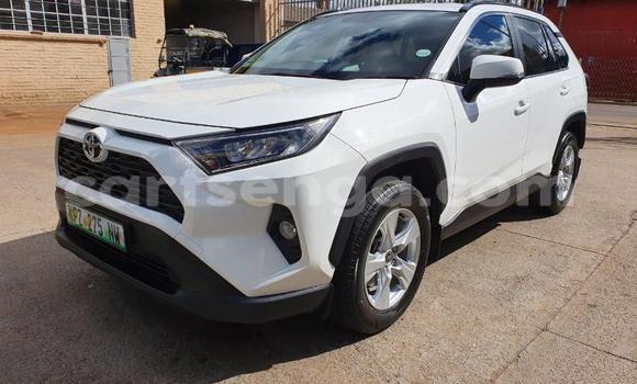Buy Used Toyota RAV4 White Car in Lavumisa in Shiselweni District Buy Used Toyota RAV4 White Car in Lavumisa in Shiselweni District