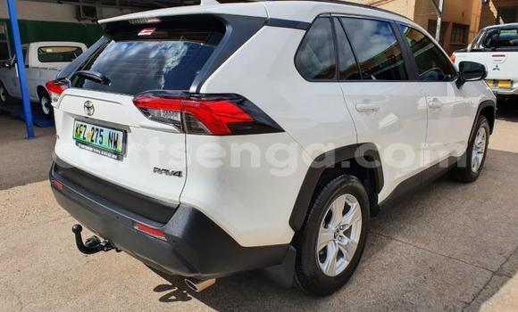 Buy Used Toyota RAV4 White Car in Lavumisa in Shiselweni District Buy Used Toyota RAV4 White Car in Lavumisa in Shiselweni District