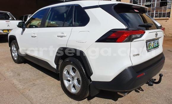 Buy Used Toyota RAV4 White Car in Lavumisa in Shiselweni District Buy Used Toyota RAV4 White Car in Lavumisa in Shiselweni District