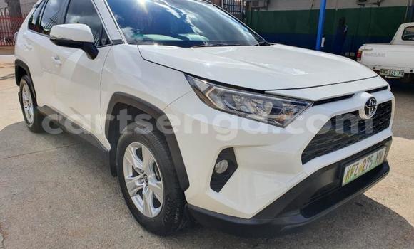 Buy Used Toyota RAV4 White Car in Lavumisa in Shiselweni District Buy Used Toyota RAV4 White Car in Lavumisa in Shiselweni District