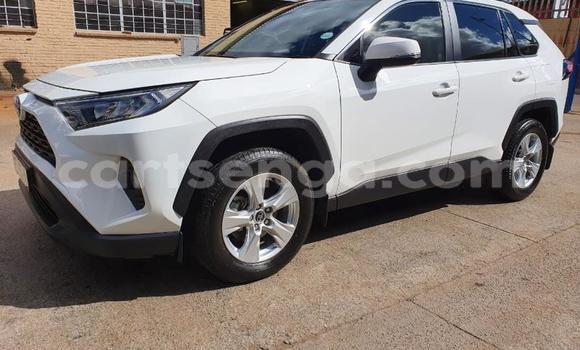 Buy Used Toyota RAV4 White Car in Lavumisa in Shiselweni District Buy Used Toyota RAV4 White Car in Lavumisa in Shiselweni District