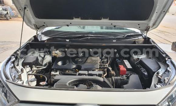 Buy Used Toyota RAV4 White Car in Lavumisa in Shiselweni District Buy Used Toyota RAV4 White Car in Lavumisa in Shiselweni District
