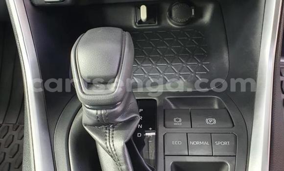 Buy Used Toyota RAV4 White Car in Lavumisa in Shiselweni District Buy Used Toyota RAV4 White Car in Lavumisa in Shiselweni District