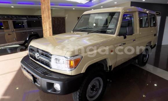 Nunua Ilio tumika Toyota Land Cruiser Other Gari ndani ya Lobamba nchini Manzini