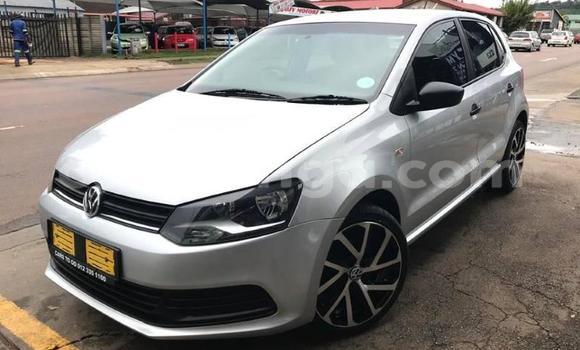 Buy Used Volkswagen Polo Silver Car in Bhunya in Manzini