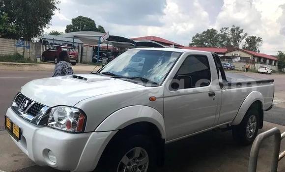 Acheter Occasion Voiture Nissan NP 300 Blanc à Bhunya, Manzini