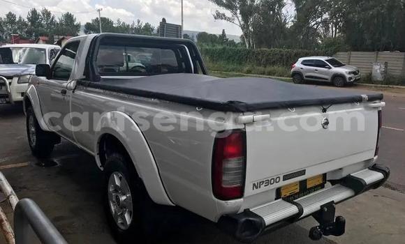 Nunua Ilio tumika Nissan NP 300 White Gari ndani ya Bhunya nchini Manzini Nunua Ilio tumika Nissan NP 300 White Gari ndani ya Bhunya nchini Manzini