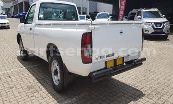 Acheter Occasion Voiture Nissan NP 300 Blanc à Big Bend, Lubombo District Acheter Occasion Voiture Nissan NP 300 Blanc à Big Bend, Lubombo District