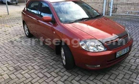 Nunua Ilio tumika Toyota Runx Red Gari ndani ya Ezulwini nchini Hhohho