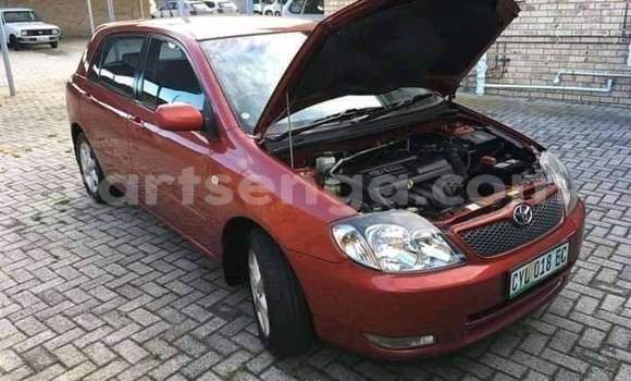 Nunua Ilio tumika Toyota Runx Red Gari ndani ya Ezulwini nchini Hhohho Nunua Ilio tumika Toyota Runx Red Gari ndani ya Ezulwini nchini Hhohho