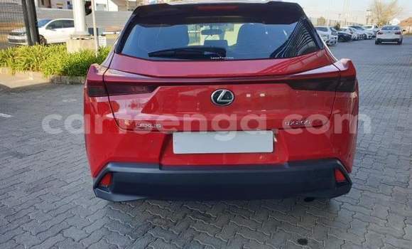 Buy Used Lexus UX Red Car in Ezulwini in Hhohho Buy Used Lexus UX Red Car in Ezulwini in Hhohho
