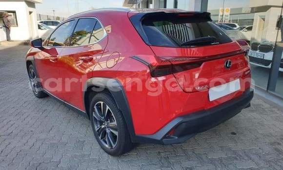 Buy Used Lexus UX Red Car in Ezulwini in Hhohho Buy Used Lexus UX Red Car in Ezulwini in Hhohho