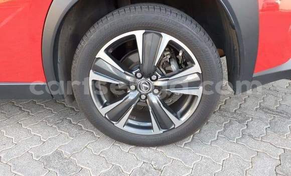 Buy Used Lexus UX Red Car in Ezulwini in Hhohho Buy Used Lexus UX Red Car in Ezulwini in Hhohho