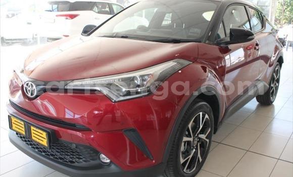 Buy Used Toyota C-HR Red Car in Manzini in Manzini Buy Used Toyota C-HR Red Car in Manzini in Manzini
