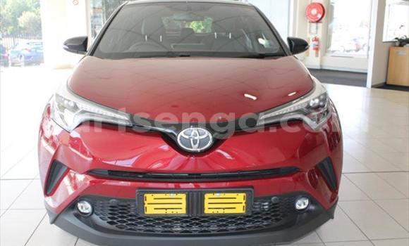 Buy Used Toyota C-HR Red Car in Manzini in Manzini Buy Used Toyota C-HR Red Car in Manzini in Manzini