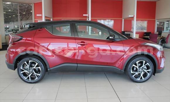 Buy Used Toyota C-HR Red Car in Manzini in Manzini Buy Used Toyota C-HR Red Car in Manzini in Manzini