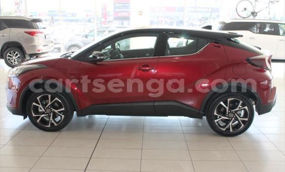 Buy Used Toyota C-HR Red Car in Manzini in Manzini Buy Used Toyota C-HR Red Car in Manzini in Manzini