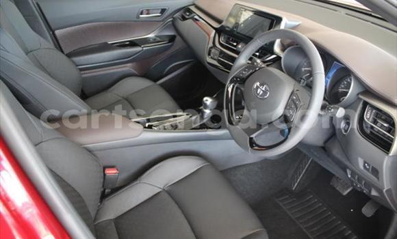 Buy Used Toyota C-HR Red Car in Manzini in Manzini Buy Used Toyota C-HR Red Car in Manzini in Manzini