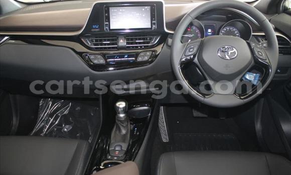 Buy Used Toyota C-HR Red Car in Manzini in Manzini Buy Used Toyota C-HR Red Car in Manzini in Manzini