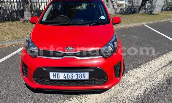 Buy Used Kia Picanto Red Car in Big Bend in Lubombo District Buy Used Kia Picanto Red Car in Big Bend in Lubombo District