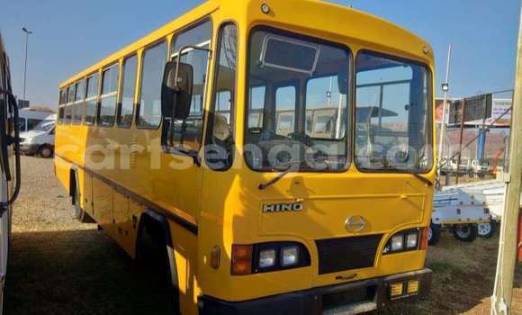 Acheter Occasion Utilitaire Hino 300 Series Autre à Big Bend, Lubombo District