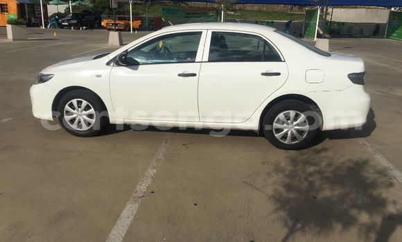 Buy Used Toyota Corolla White Car in Ezulwini in Hhohho Buy Used Toyota Corolla White Car in Ezulwini in Hhohho