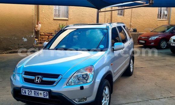 Acheter Occasion Voiture Honda CR–V Gris à Hluti, Shiselweni District