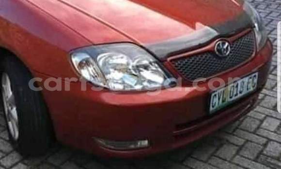 Nunua Ilio tumika Toyota Runx Other Gari ndani ya Ezulwini nchini Hhohho Nunua Ilio tumika Toyota Runx Other Gari ndani ya Ezulwini nchini Hhohho