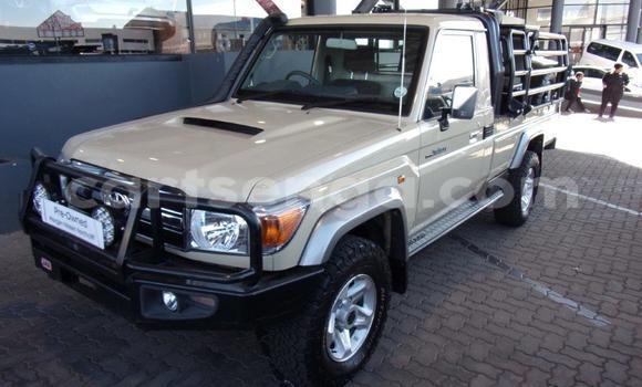 Buy Used Toyota Land Cruiser Beige Car in Ezulwini in Hhohho