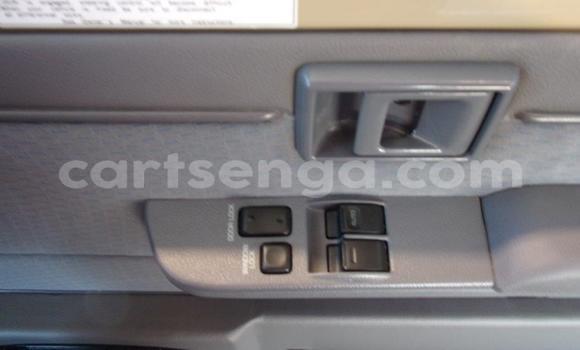 Buy Used Toyota Land Cruiser Beige Car in Ezulwini in Hhohho Buy Used Toyota Land Cruiser Beige Car in Ezulwini in Hhohho