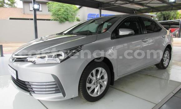 Buy Used Toyota Corolla Silver Car in Ezulwini in Hhohho